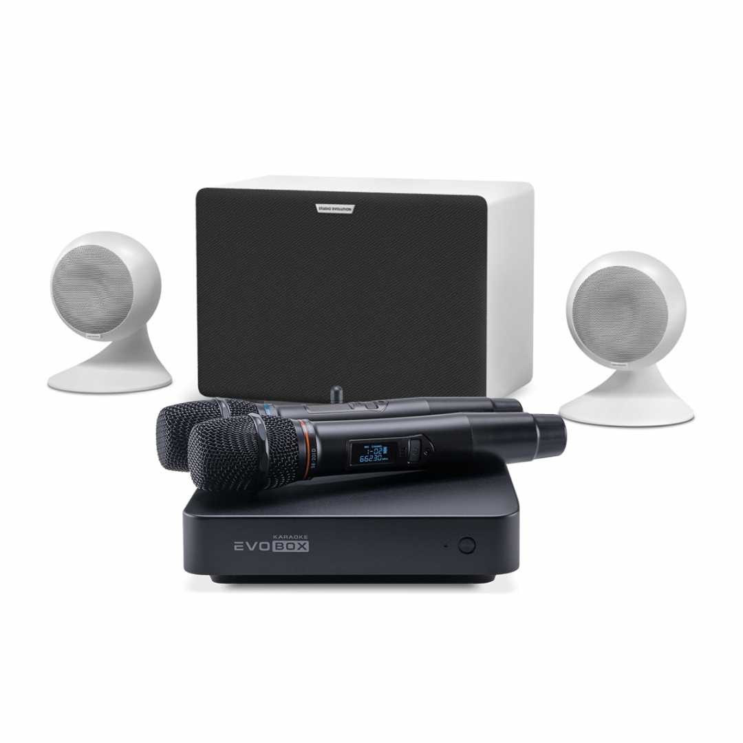 караоке-комплект EVOBOX Classic + EvoSound Sphere 2.1 в Татарстане