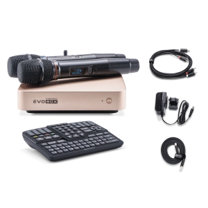 EVOBOX Classic караоке-система для дома в Татарстане