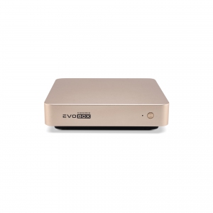 EVOBOX с микрофонами в Татарстане